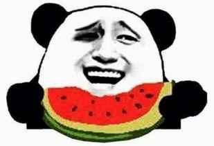 吃瓜群众吧百度贴吧